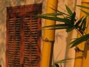 Back in Luang Prabang.